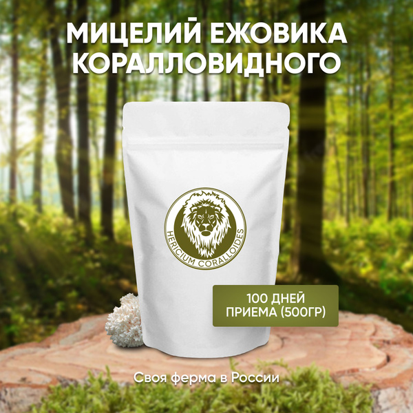 Ежовик (Ежевик) Коралловидный, Мицелий + Плодовые тела / Hericium ...