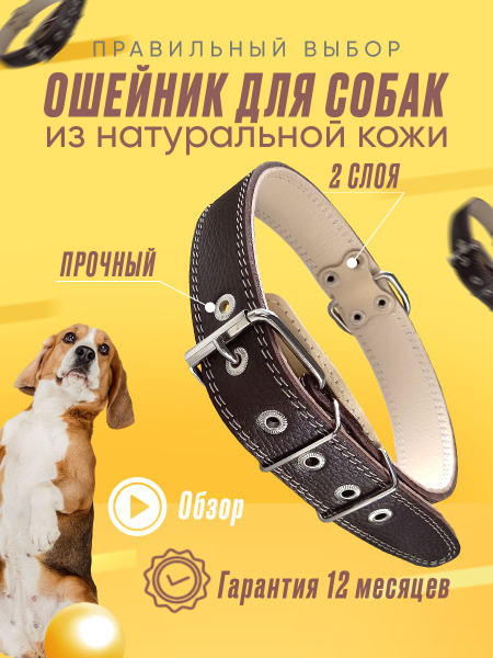 Кожаный ошейник для собак больших крупных и средних пород. На ...