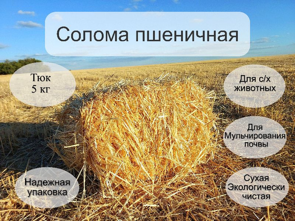Солома, тюк 6 кг, корм для с/х животных, для мульчирования почвы ...