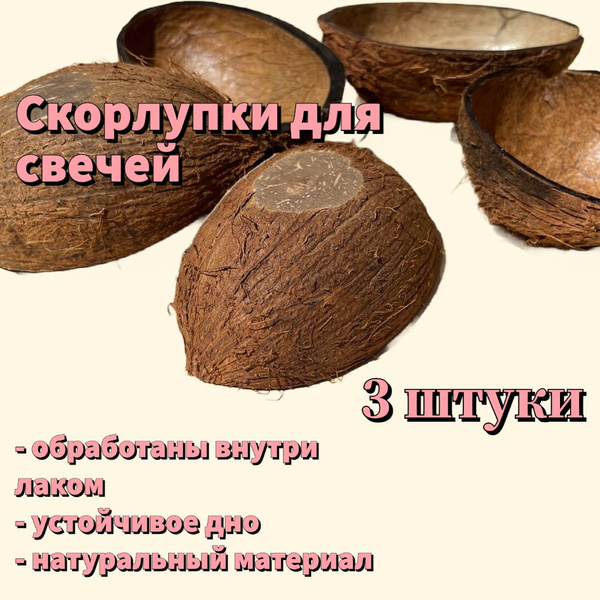 Кокосовая скорлупа (половина) - 3 штуки - покрыта внутри лаком - купить ...