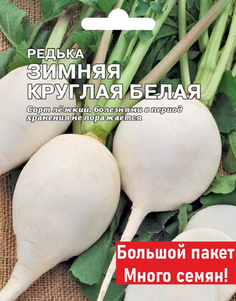 Редька Сембат Редька Зимняя круглая белая - купить по выгодным ценам в ...