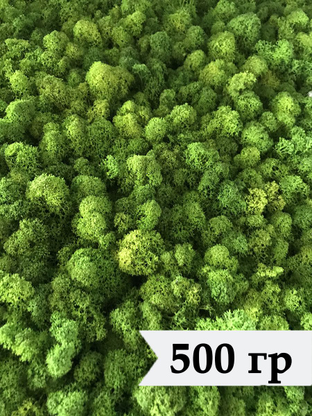 Стабилизированный мох ягель 500гр натуральный зеленый/ мох для поделок ...