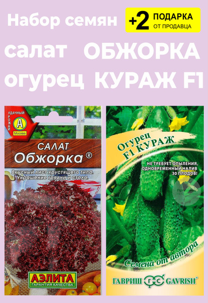Салат, Огурцы Проверенные семена Обжорка - купить по выгодным ценам винтернет-магазине OZON (806144850)