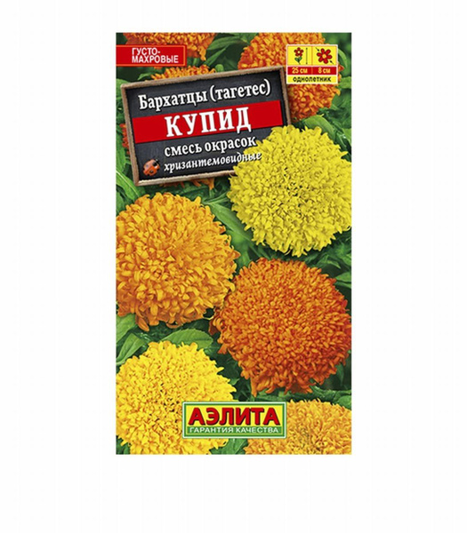 Семена Аэлиты Купить