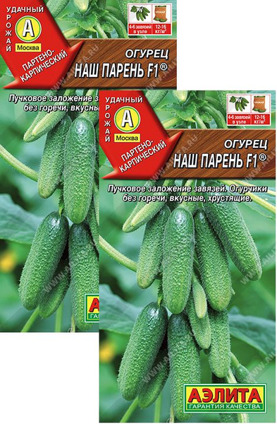 Огурцы Аэлита Джентельмены удачи F1_зеленый_2_Наш парень - купить по ...