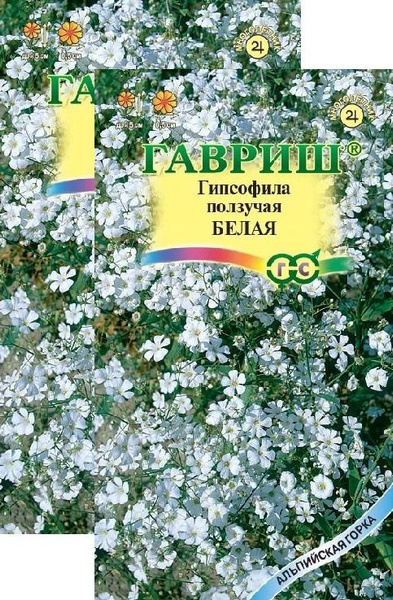Гипсофилы многолетние, Многолетники для альпийской горки Гавриш ...