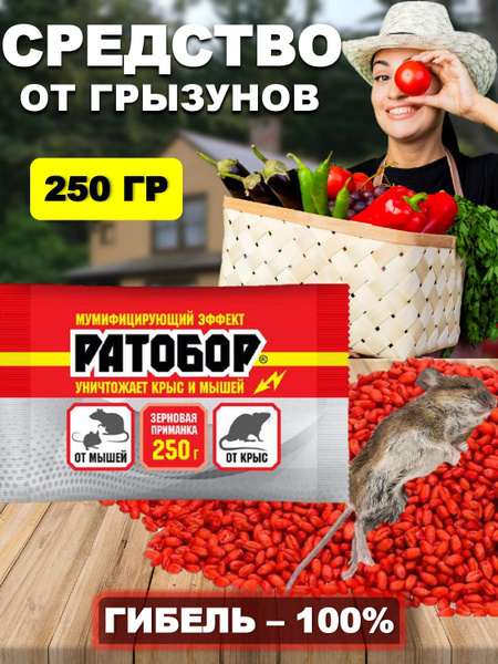 Отрава для мышей и крыс, средство от грызунов в доме - купить с ...
