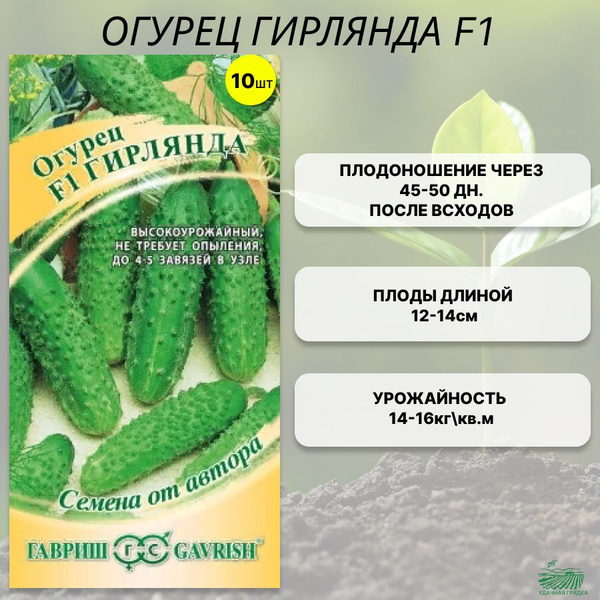 Огурцы Аэлита Огурец партенокарпический 1 - купить по выгодным ценам в интернет-