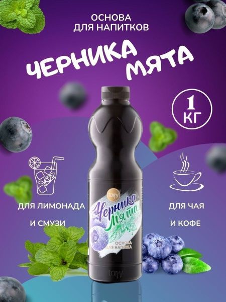 Концентрат для напитка Черника Мята 1 кг основа для напитка (TORRY ...