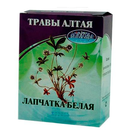 Как выглядит корень белой лапчатки Лапчатка белая корень Беловодье 25 гр - купить с доставкой по выгодным ценам в и