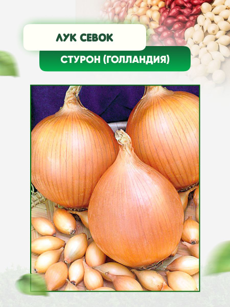 Луковицы Лук севок Виктория купить по выгодной цене в интернет-магазине ...