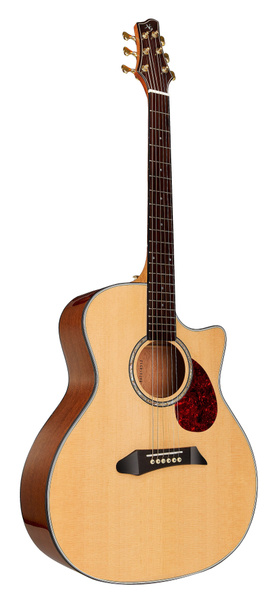Электро-акустическая гитара NG GUITAR AM411SCE NA - купить с доставкой ...