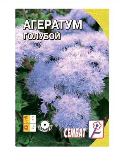 Агератумы Сембат агератум_голубой - купить по выгодным ценам в интернет ...