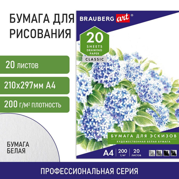 Brauberg Бумага для рисования A4 (21 × 29.7 см), 20 лист., шт - купить ...