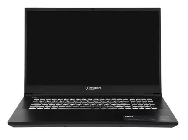 Ноутбук ARDOR Gaming NEO G17-I7ND210 (G17-I7ND210), черный купить по ...