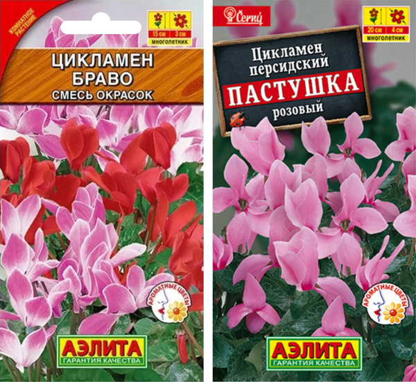 Цикламены Агрофирма Аэлита цикламен - купить по выгодным ценам в ...