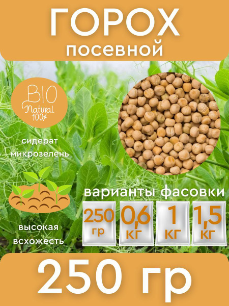 Купить Горох Посевной Оптом