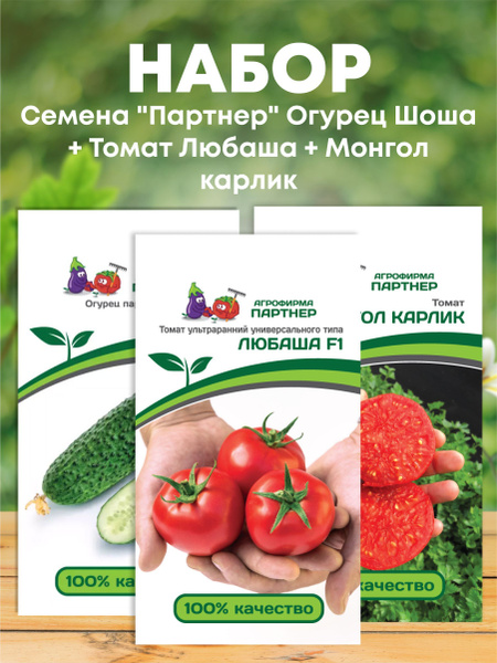 Огурцы Агрофирма Партнер Огурец_3_Огурец Шоша + Томат Любаша + Монгол ...
