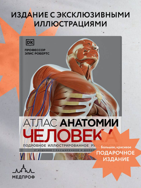 Атлас анатомии человека (DK). Подробное иллюстрированное руководство ...