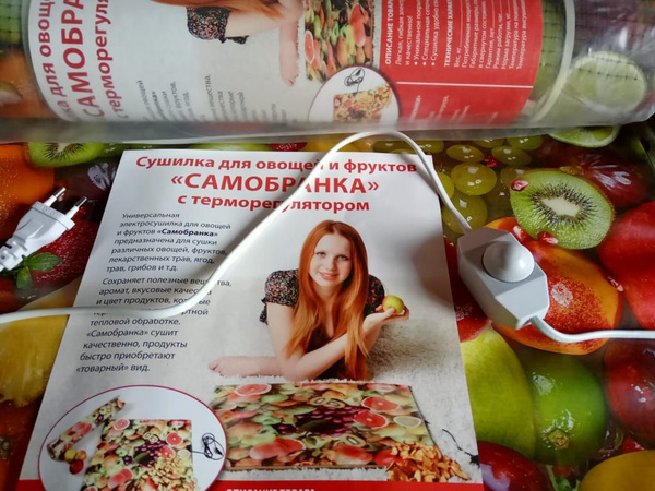 Дорожки на даче своими руками