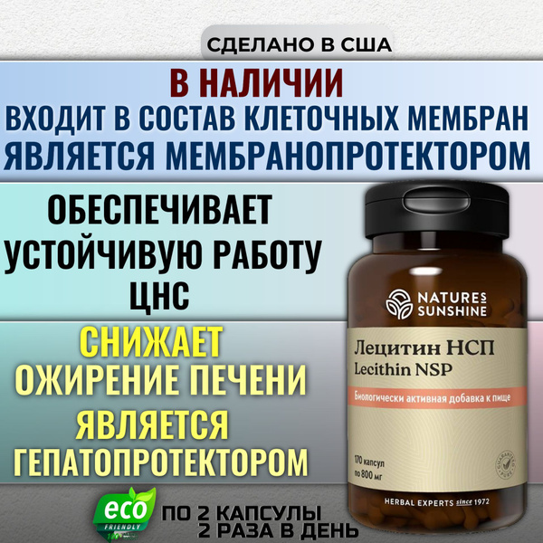 Лецитин НСП - купить с доставкой по выгодным ценам в интернет-магазине ...