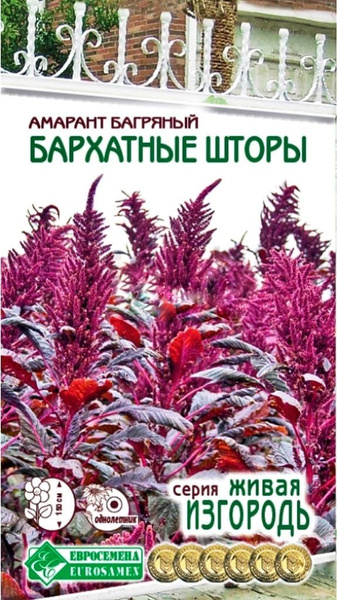 Амаранты Евросемена Растения для сада - купить по выгодным ценам в ...