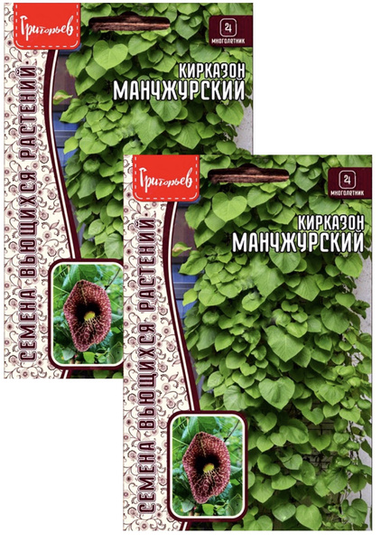 Кирказон Григорьев Лианы_2_Кирказон Манчжурский - купить по выгодным ...