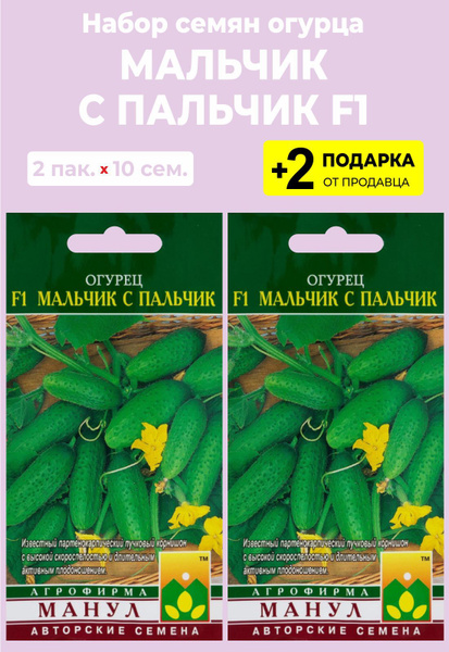 Выбираю средненькие огурцы для открытого сибирского грунта. Краткий обзор 35 сор