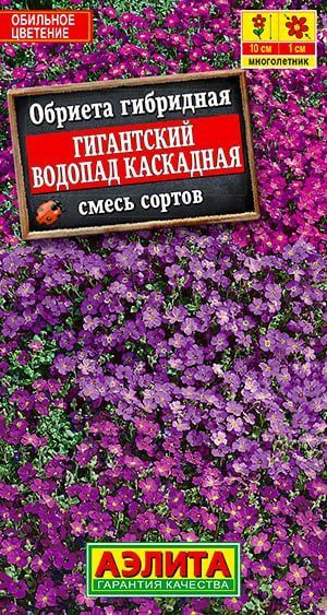 Обриеты Аэлита в СМН_Обриета Гигантский водопад каскадная, смесь сортов ...