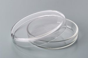 Чашка микробиологическая "Петри" 100 х 20 - купить с доставкой по ...
