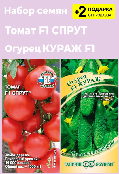 Томаты, Огурцы Проверенные семена Томат "Спрут F1" - купить по выгодным ...
