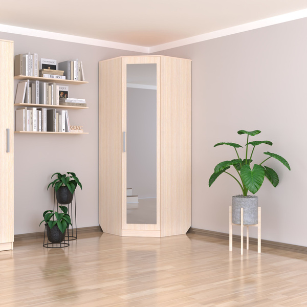 Шкаф распашной Профит-М Шкаф угловой с зеркалом_белый, 90x90x210 см ...