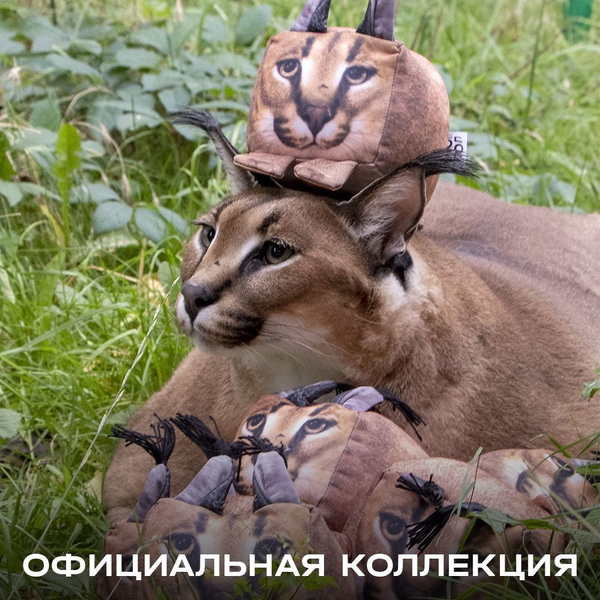 Мягкая антистрессовая игрушка ШЛЕПА большой русский кот 11 см, плюшевые ...