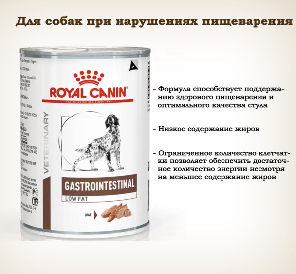 Royal canin gi store low fat cat