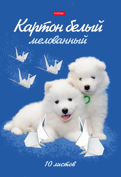 Белый картон Вайлдберриз