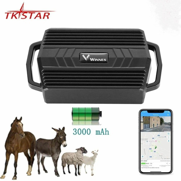 GPS-трекер для питомца TK Star 935, с A-GPS, ГЛОНАСС, microUSB купить ...