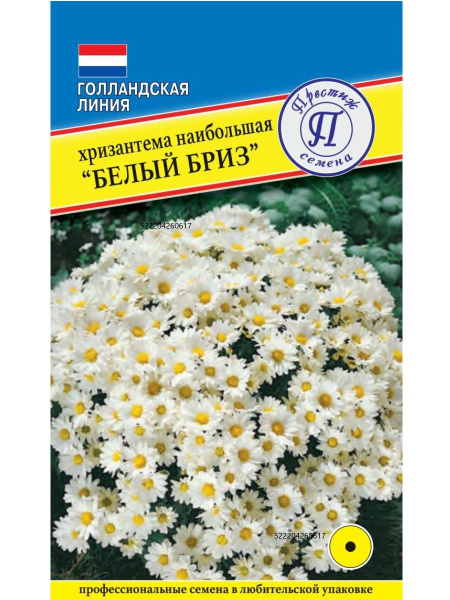 Хризантемы однолетние, Хризантемы многолетние Престиж семена ...