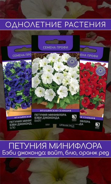 Петунии ПОИСК Агрохолдинг Миллифлора, мультифлора, минифлора - купить ...