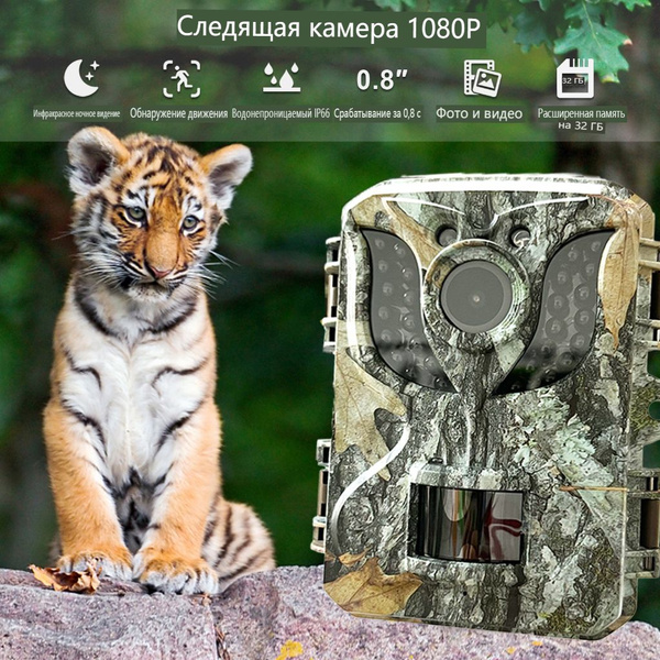 мини-охотничья камера для охоты на дикую природу с разрешением 1080p с ...
