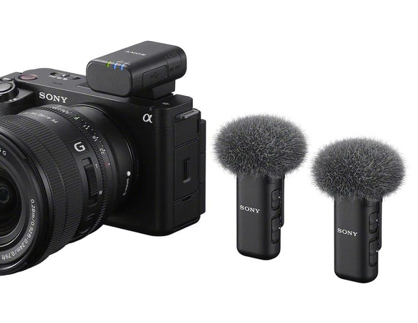 Микрофон для фото и видеокамер Sony ECM-W3 - купить по выгодной цене в ...