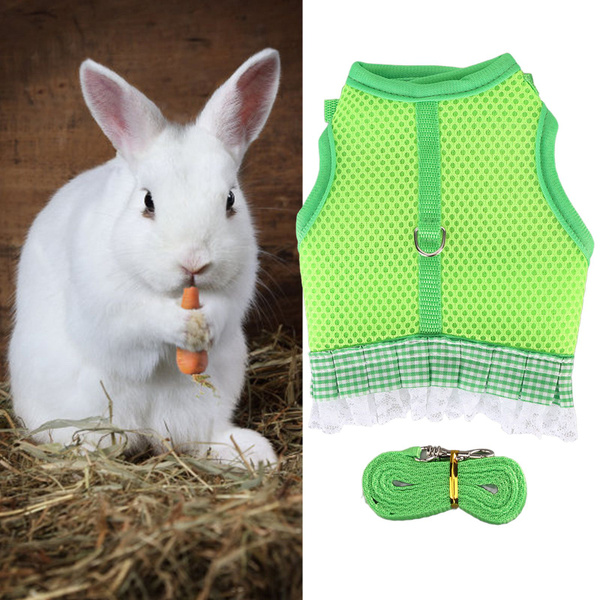 Шлейка и поводок для кроликов - купить с доставкой по выгодным ценам в ...