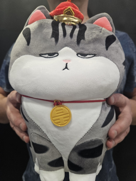 Мягкая игрушка Кот недовольный - купить с доставкой по выгодным ценам в ...