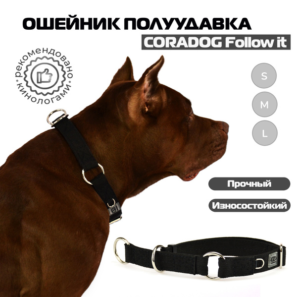 Ошейник-полуудавка, мартингейл, CORADOG Follow it, для средних и ...