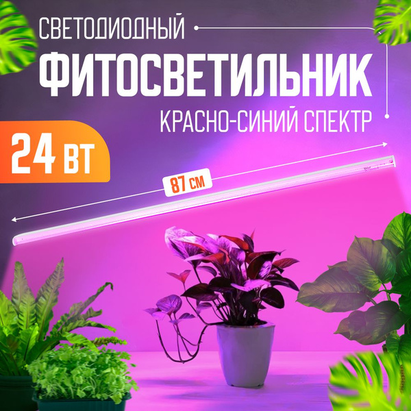 Фито лампа для растений рассады и комнатных цветов 24Вт 900мм розовый с ...