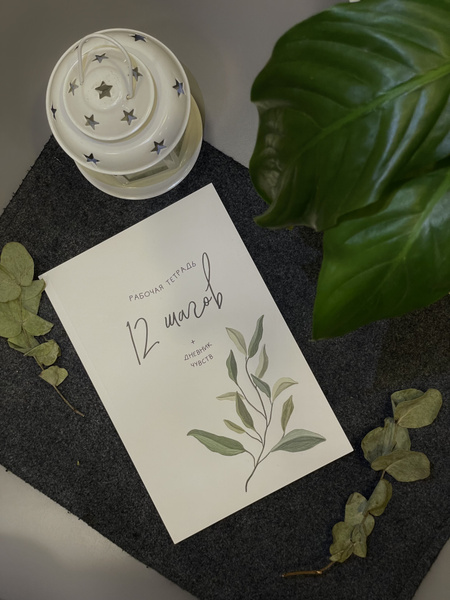 Рабочая тетрадь 12 шагов + дневник чувств - купить с доставкой по ...