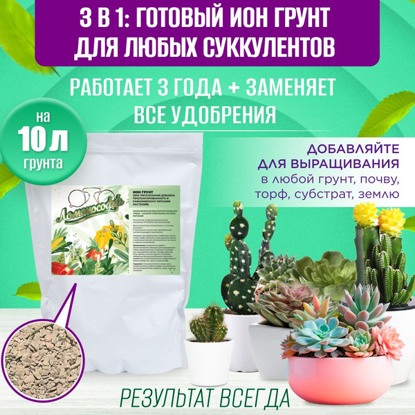 ИОН грунт для кактусов и суккулентов / Питательная добавка для всех ...