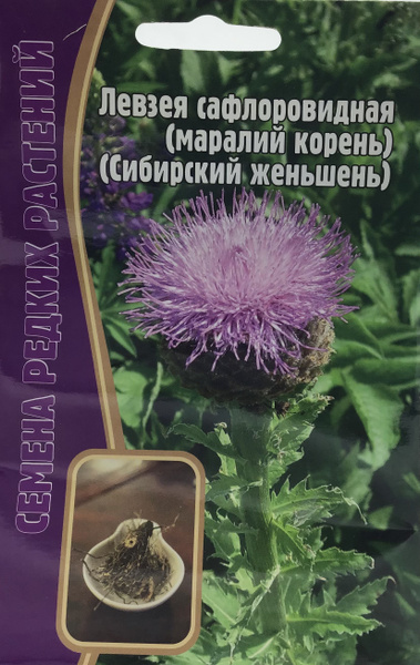 Левзея сафлоровидная - купить по выгодным ценам в интернет-магазине ...