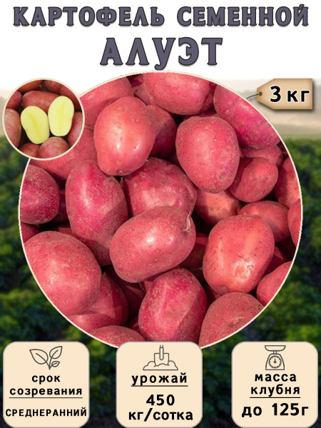 Картофель семенной на посадку Алуэт (суперэлита) 3 кг Среднеранний ...