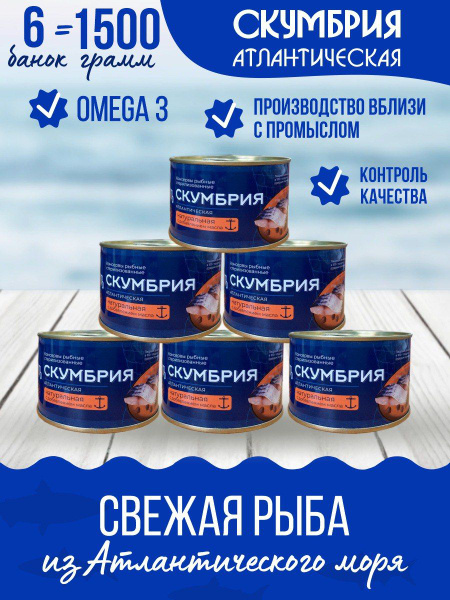 Скумбрия атлантическая в масле 250 гр. Балтфлотъ - 6 шт. - купить с ...