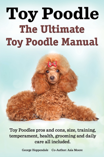 toy poodle health